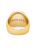 Nialaya Men's Ring Men's Oblong Gold Plated Signet Ring with Onyx