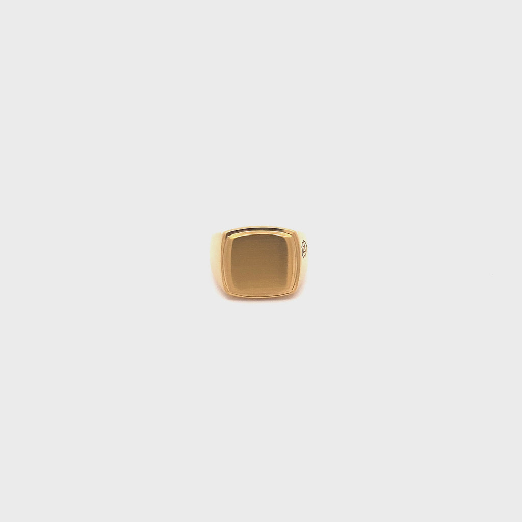 Nialaya_Men_Gold_Plated_Signet_Ring_with_Brushed_Steel_Video